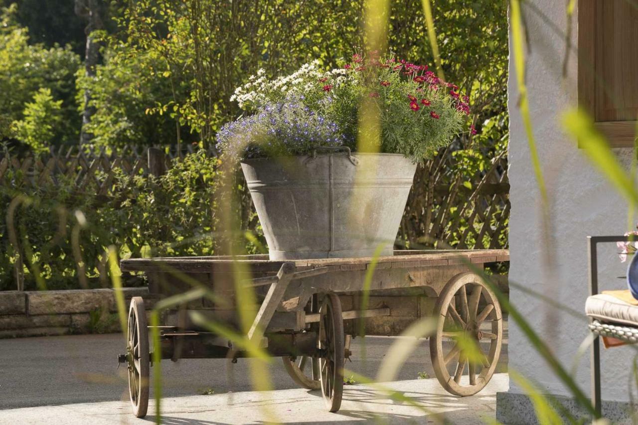 Ferienhaus Badersee グライナウ エクステリア 写真